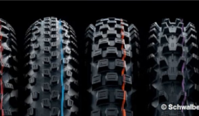 Quel est le meilleur pneu Schwalbe pour le VTT ?