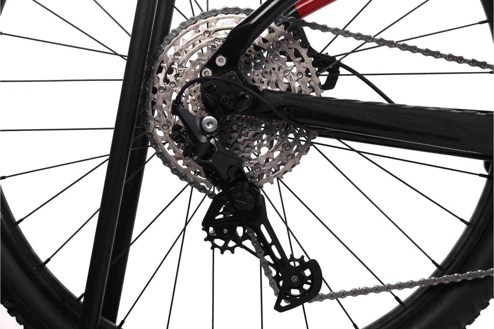 Cannondale Trail Neo 1