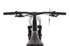 Trek E-Caliber 9.6