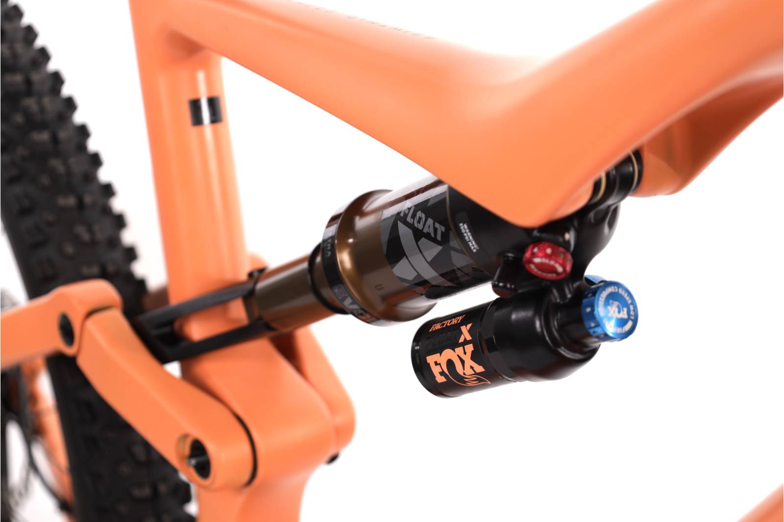 Orbea Rise M-TEAM