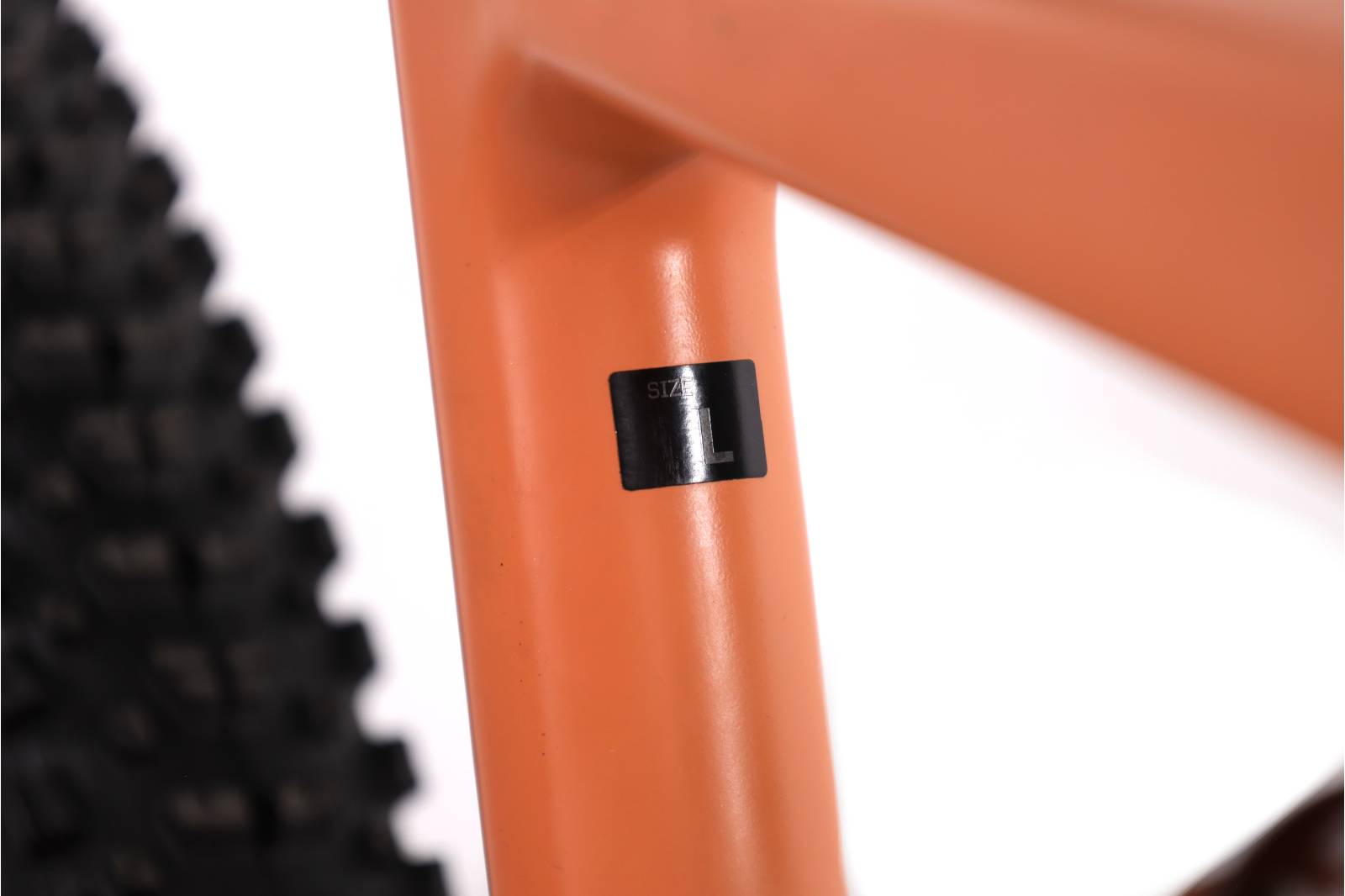 Orbea Rise M-TEAM