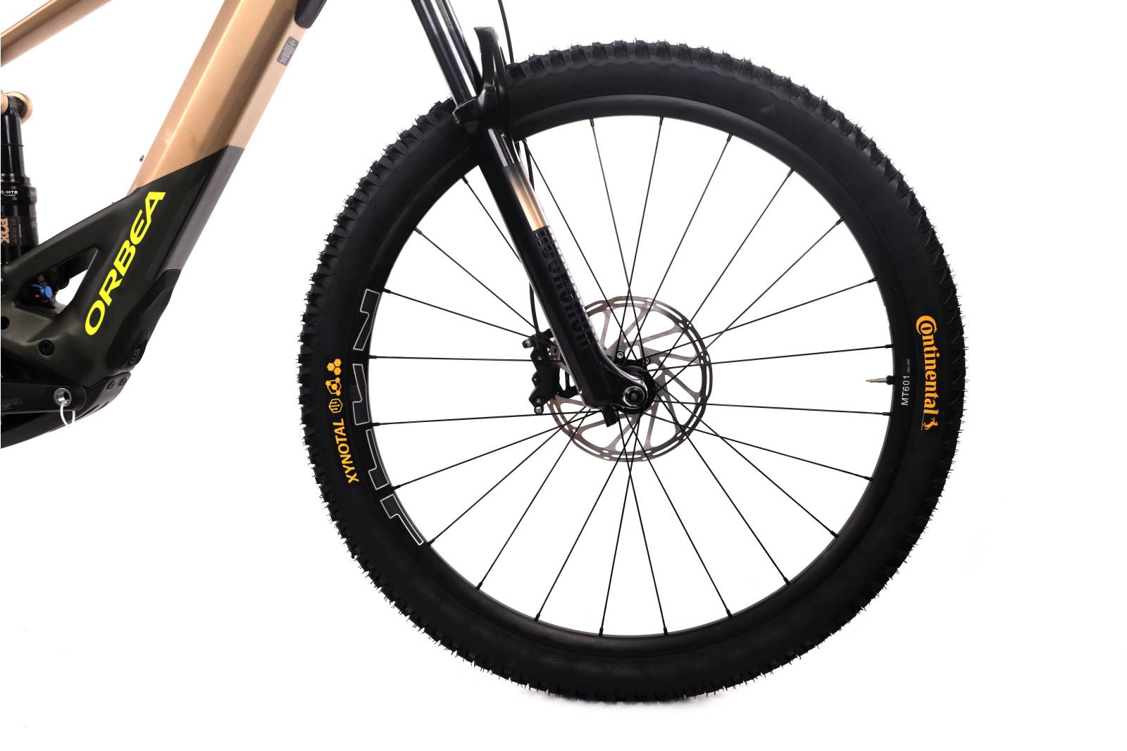 Orbea Wild H20