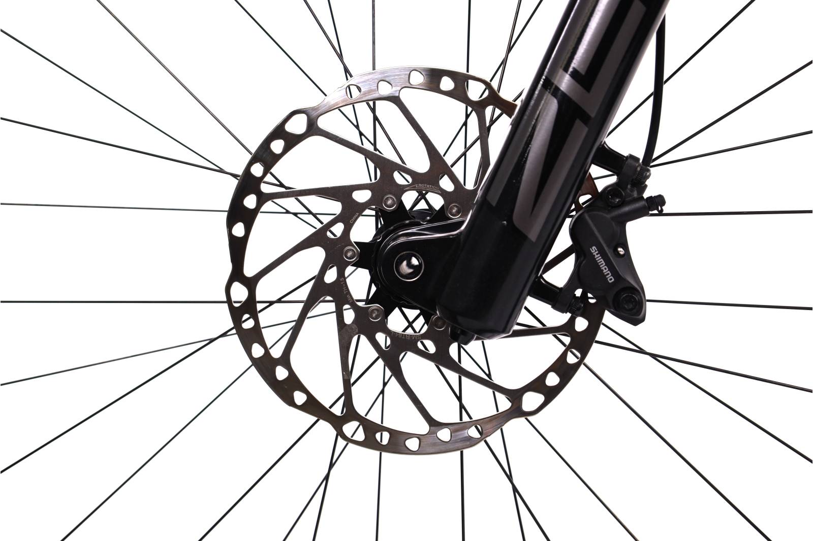 Orbea Wild M20