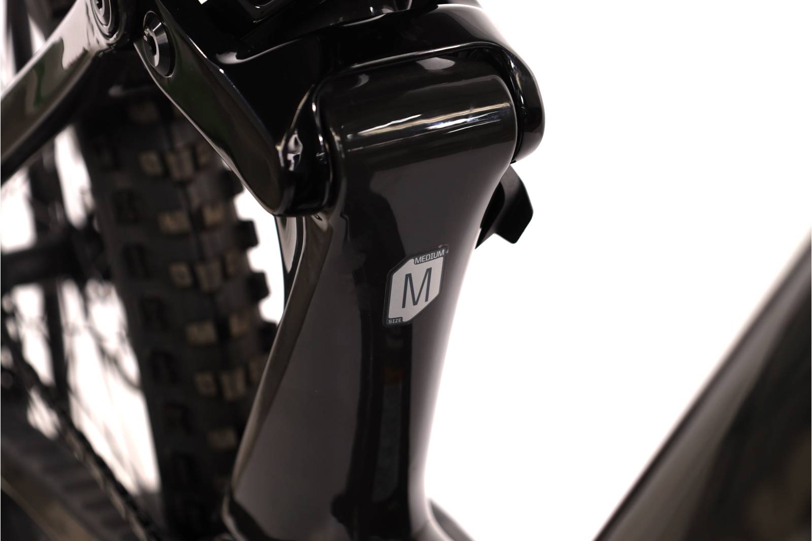 Cannondale Moterra SL 1