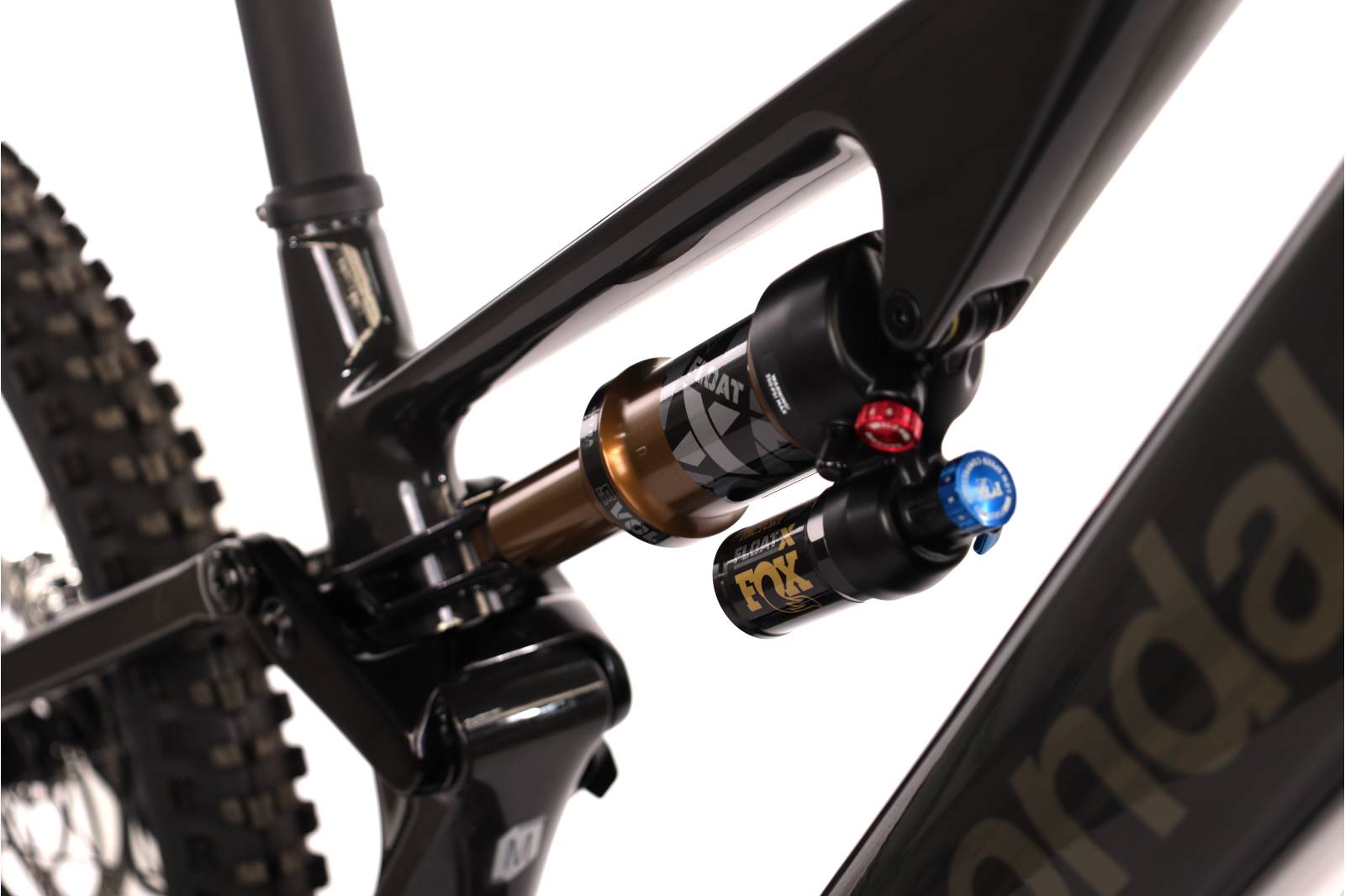 Cannondale Moterra SL 1