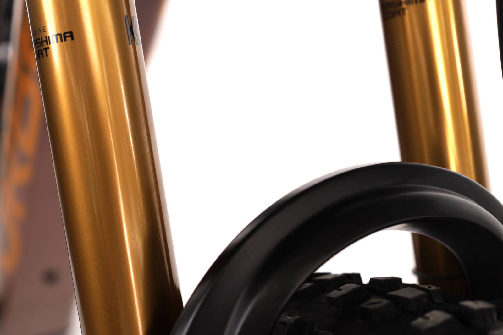 Orbea Rise M10