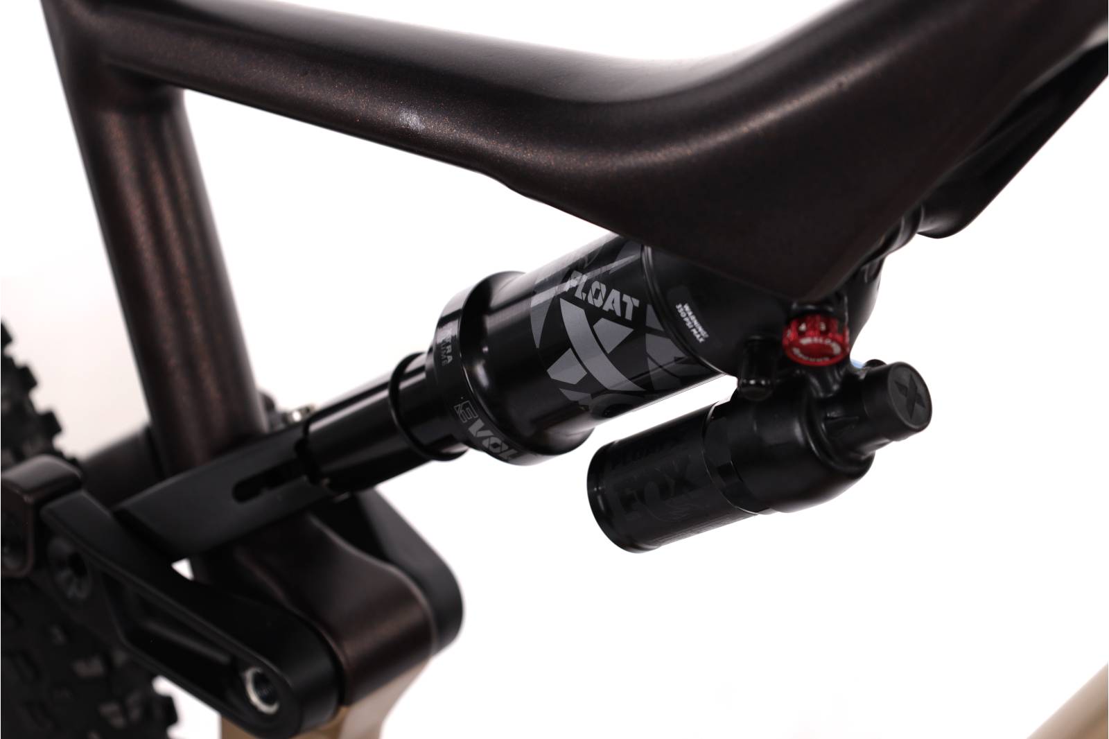 Orbea Rise H15