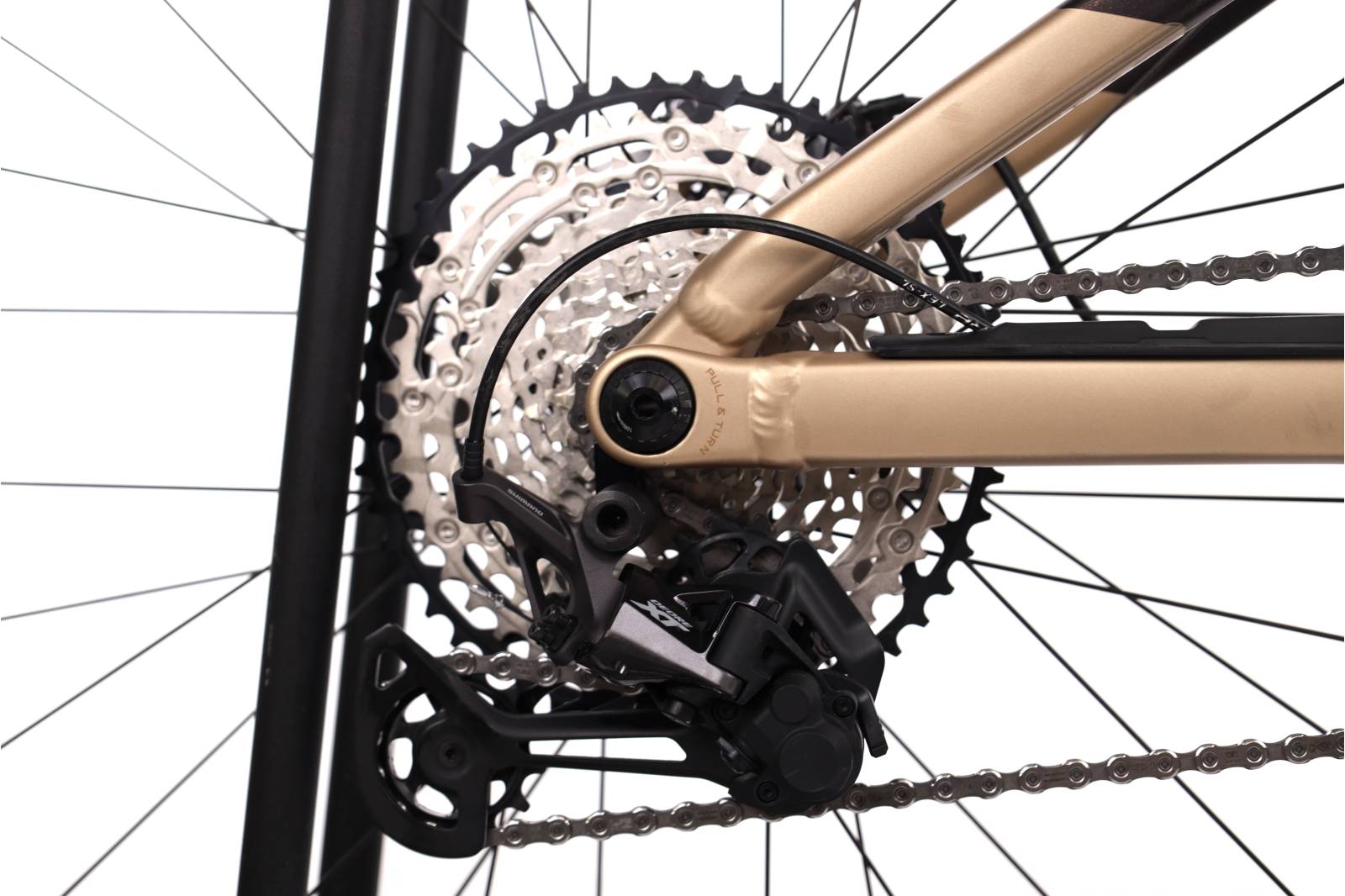 Orbea Rise H15