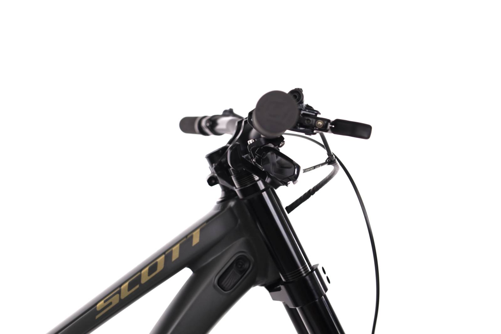 Scott Gambler 10