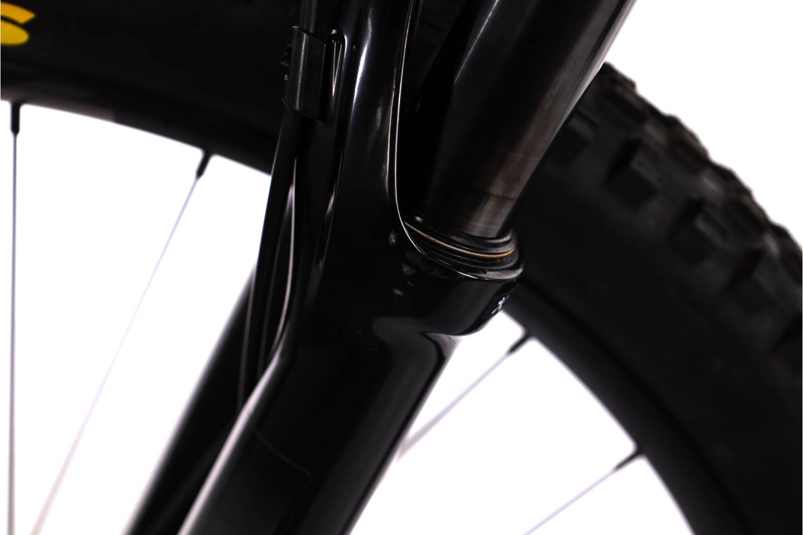 Orbea Wild H20