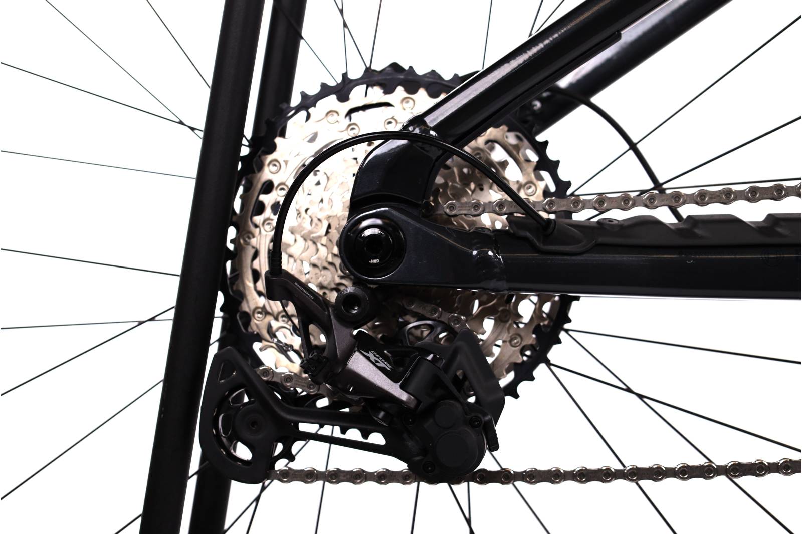 Orbea Wild H20