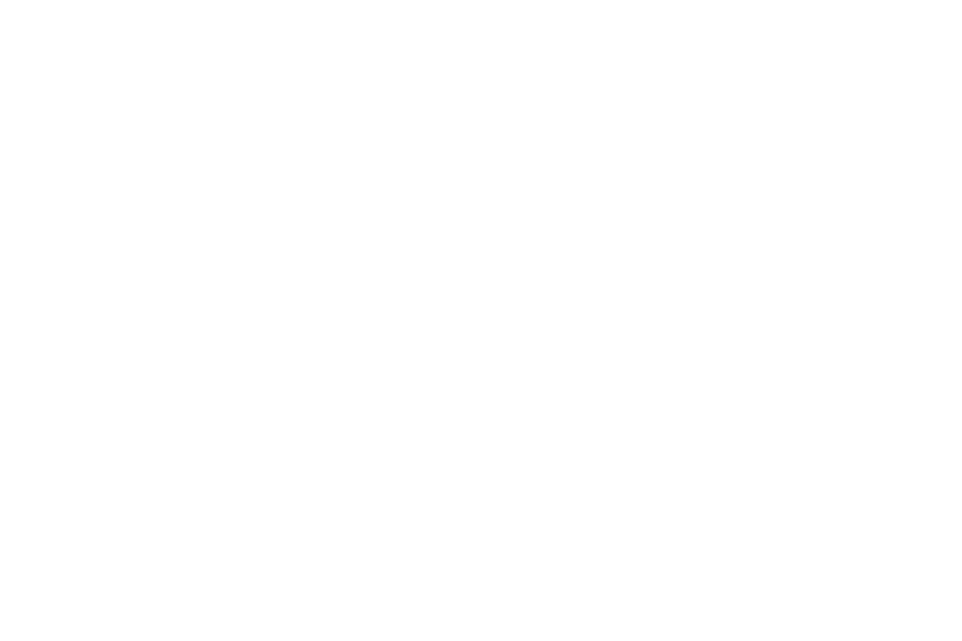 Double Defense Raceguard