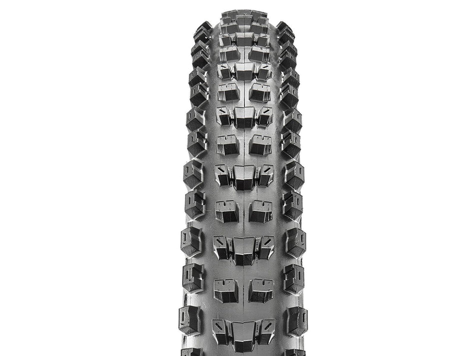 Pneu Maxxis Dissector EXO+ Protection – 3C MaxxTerra – Tubeless Ready