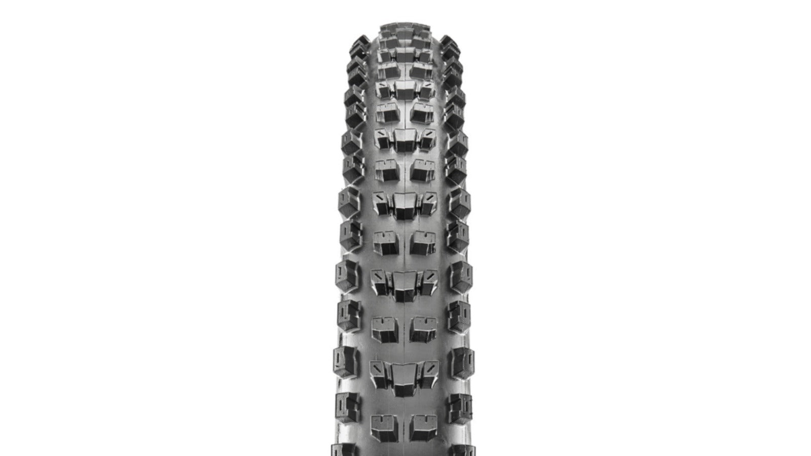 Pneu Maxxis Dissector Wide Trail - EXO+ Protection - 3C MaxxTerra – Tubeless Ready