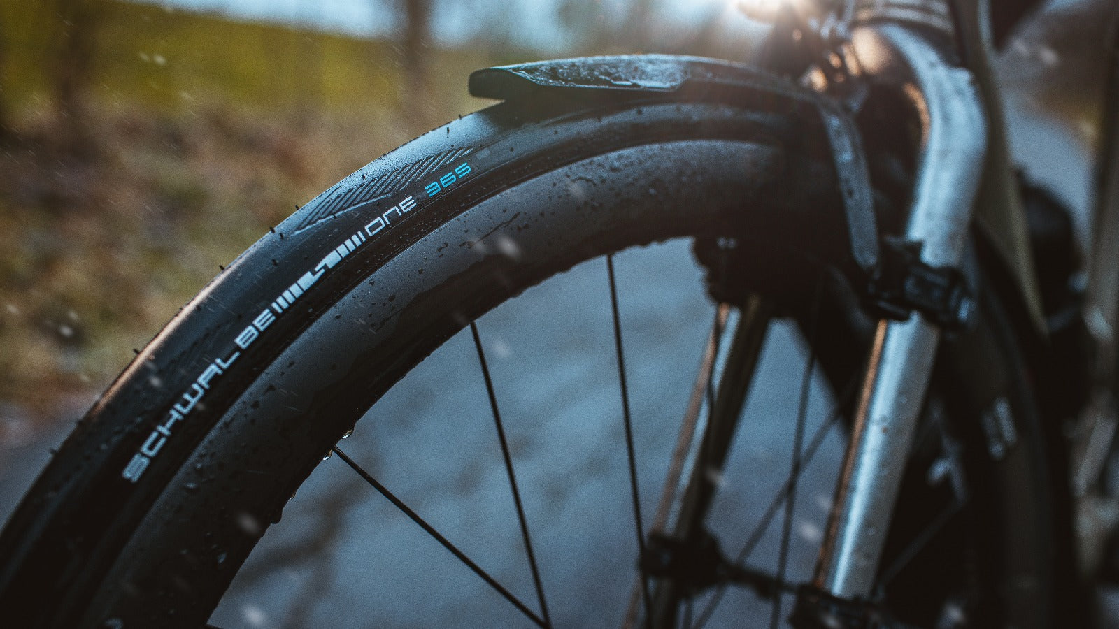 Pneu route Schwalbe One 365 Tubetype Addix 4 Season Race Guard #4