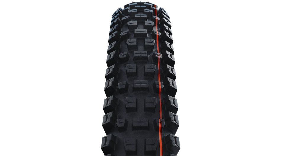 Pneu Schwalbe Albert Gravity Pro Radial Addix Soft TLR bande de roulement