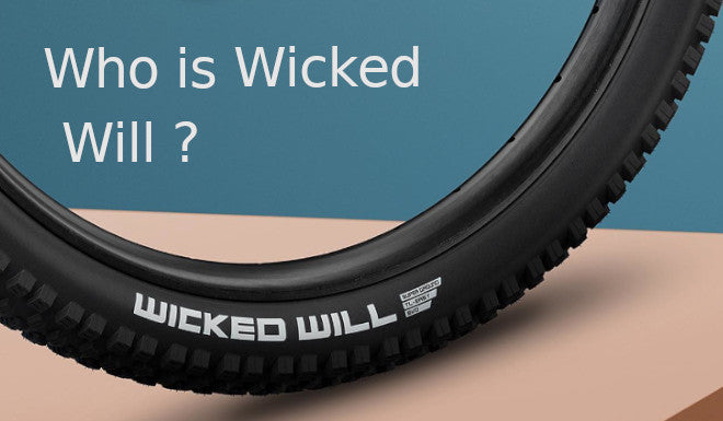 Entre XC et DownHill : le pneu haut de gamme WICKED WILL de Schwalbe