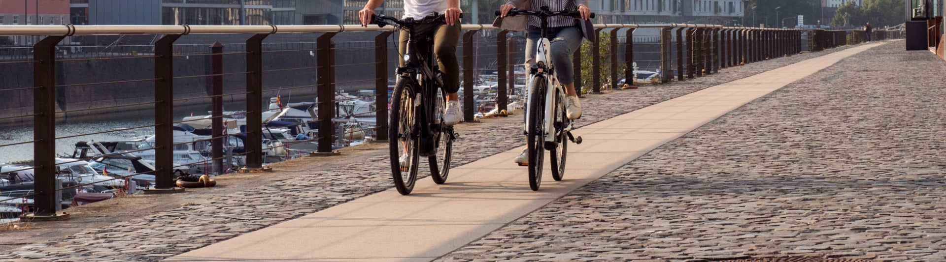 Schwalbe Road Cruiser