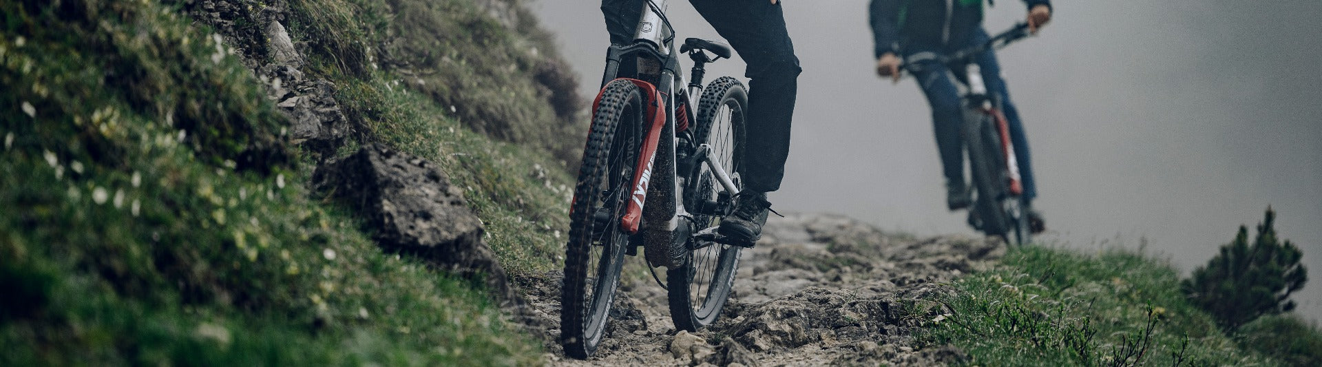 Pneus VTT Schwalbe Big Betty