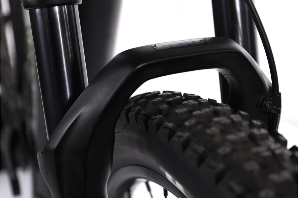 Cannondale Trail Neo 1