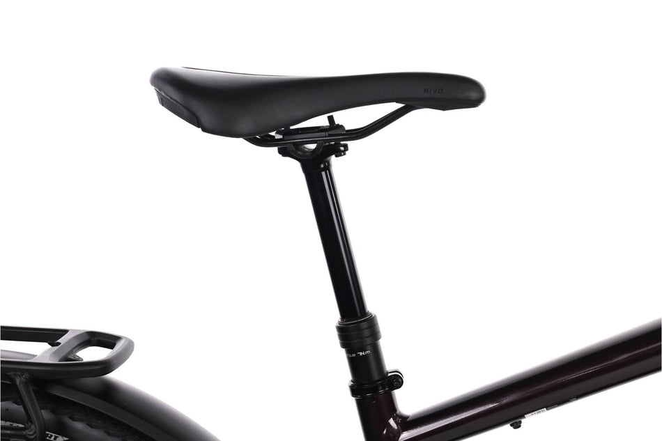 Specialized Turbo Tero 5.0 Custom