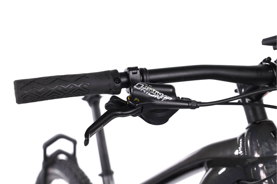Trek Powerfly 5