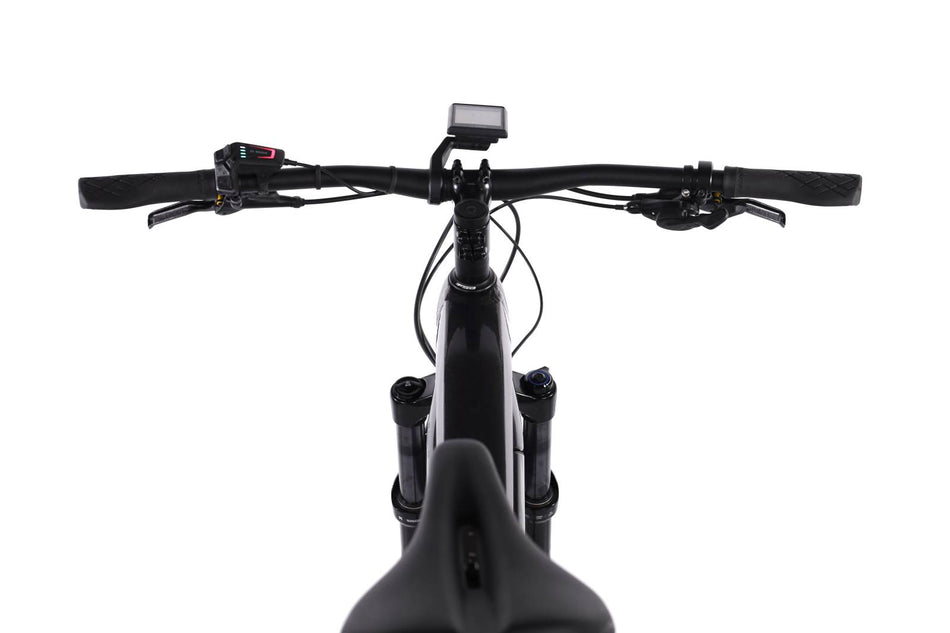 Trek Powerfly 5