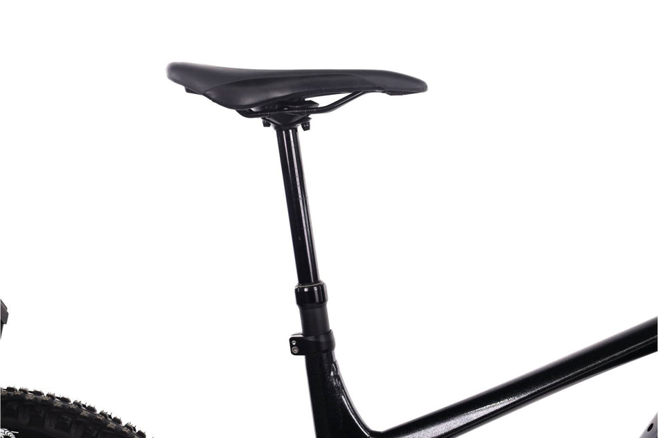 Giant Reign E+2 MX PRO