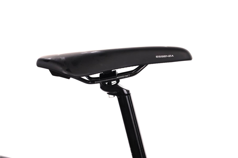 Focus Whistler 3.6