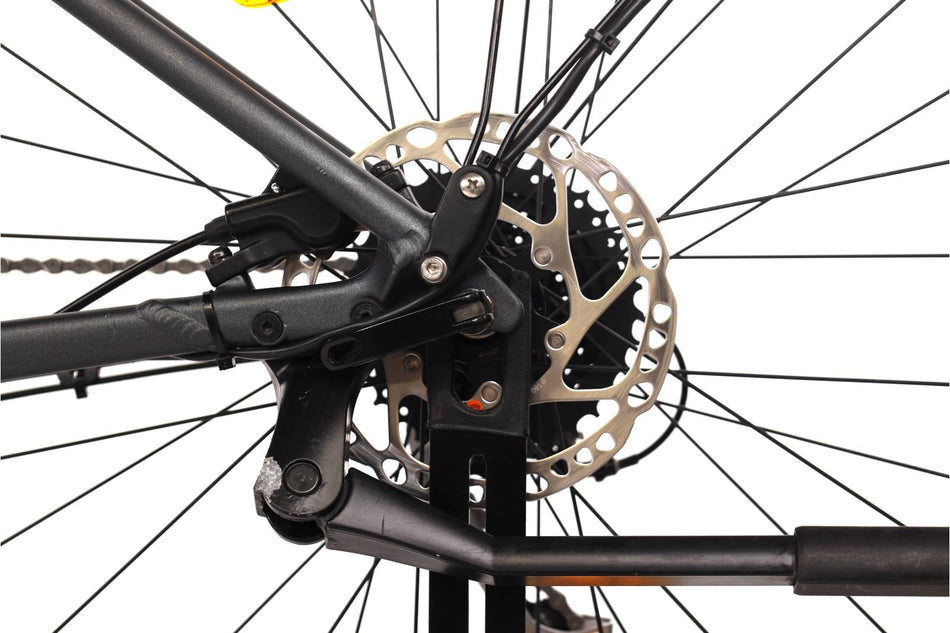 Focus Whistler 3.6