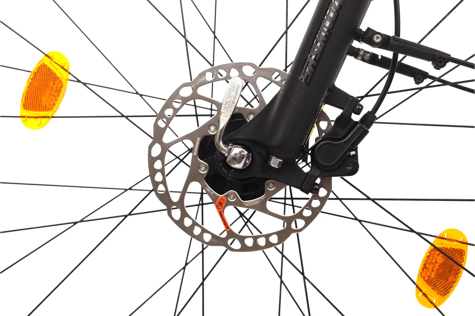 Focus Whistler 3.6