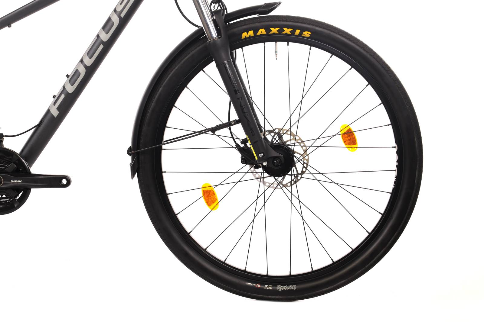 Focus Whistler 3.6
