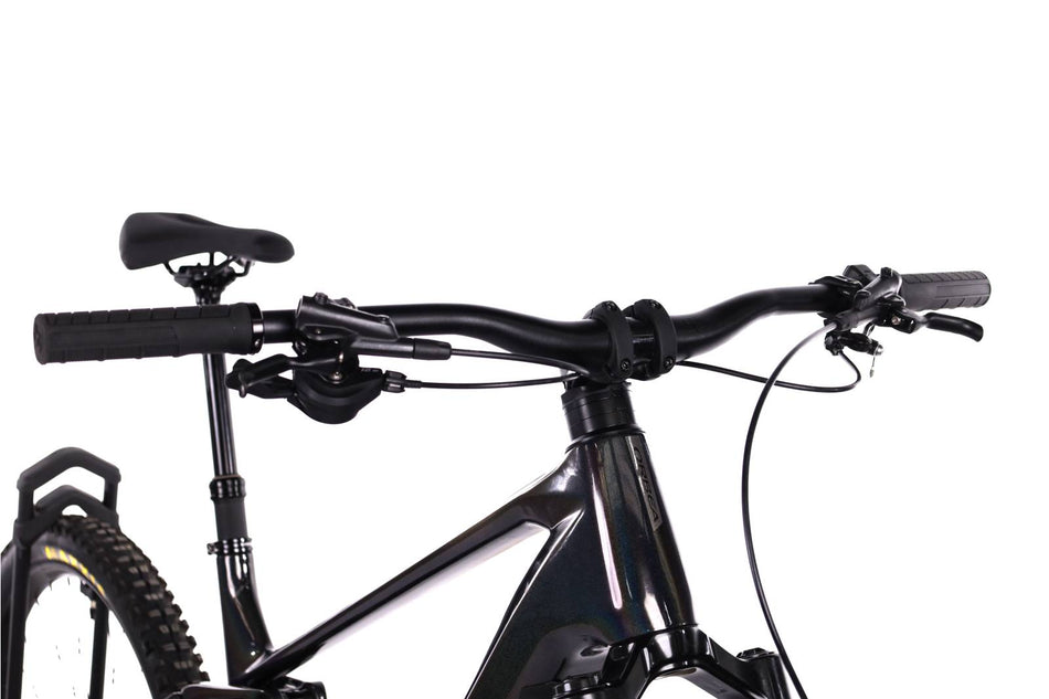 Orbea Wild M20