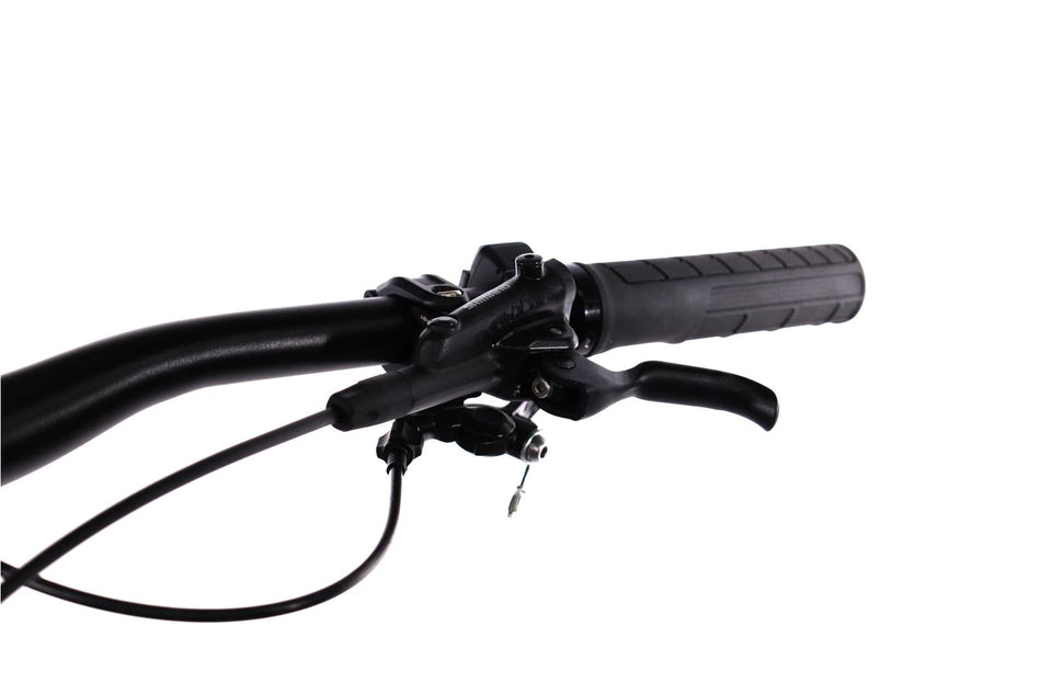 Orbea Wild M20