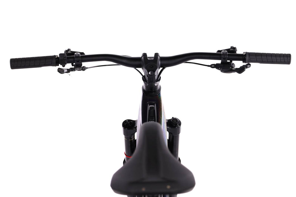 Orbea Wild M20
