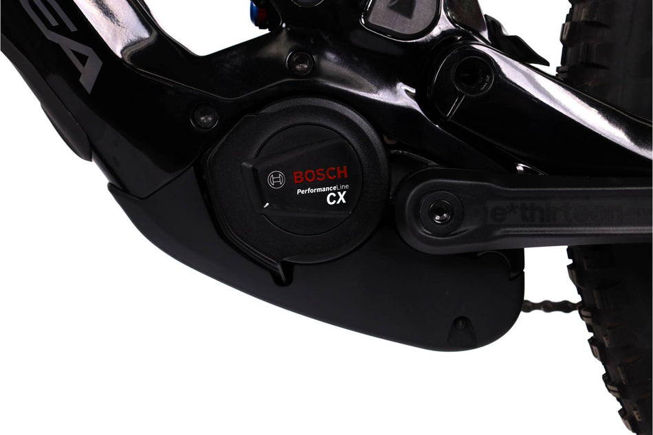 Orbea Wild M20