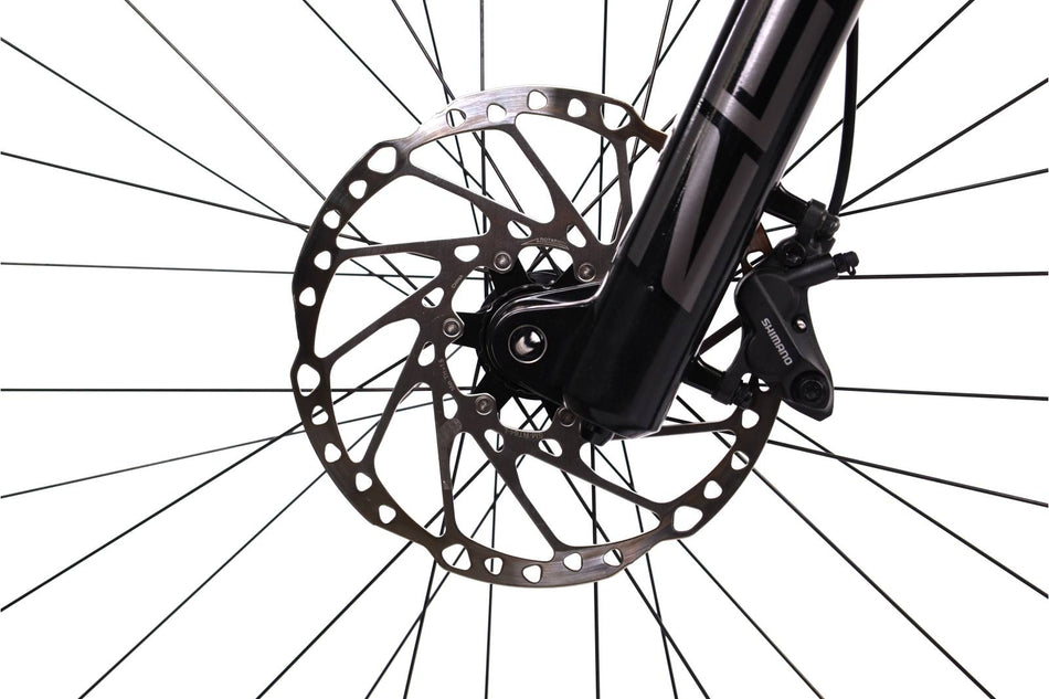 Orbea Wild M20