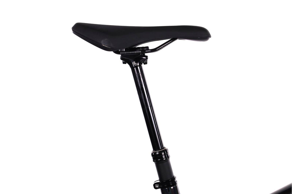 Orbea Wild M20