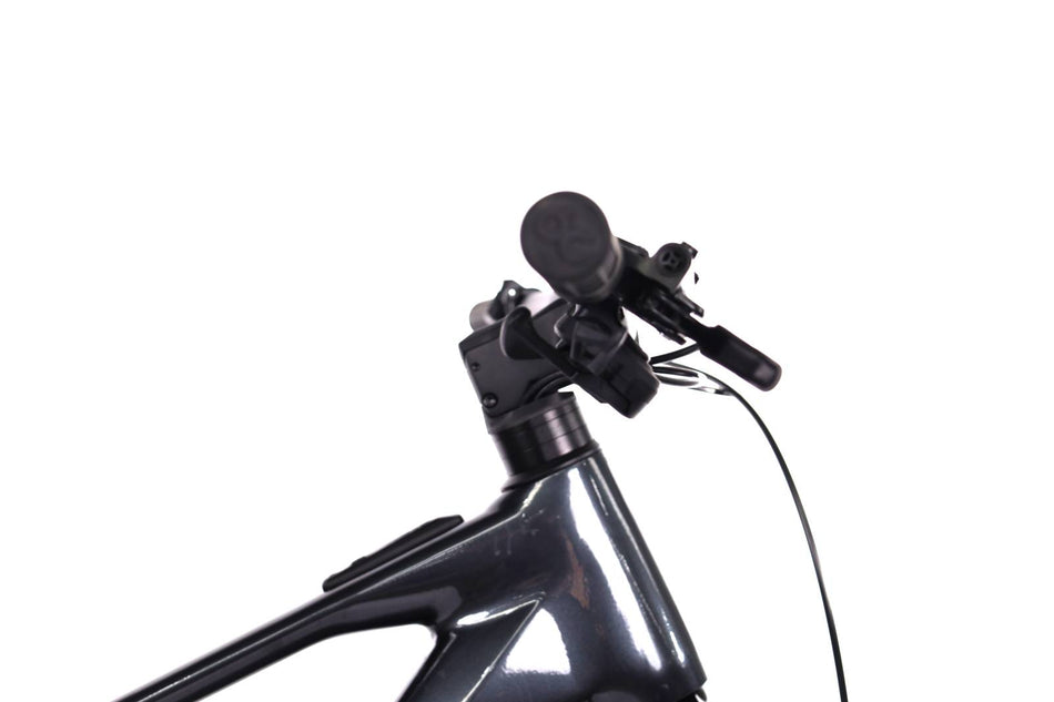 Orbea Wild H30