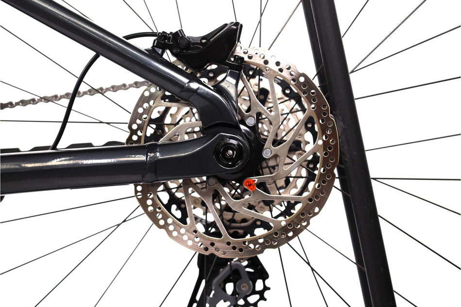 Orbea Wild H30
