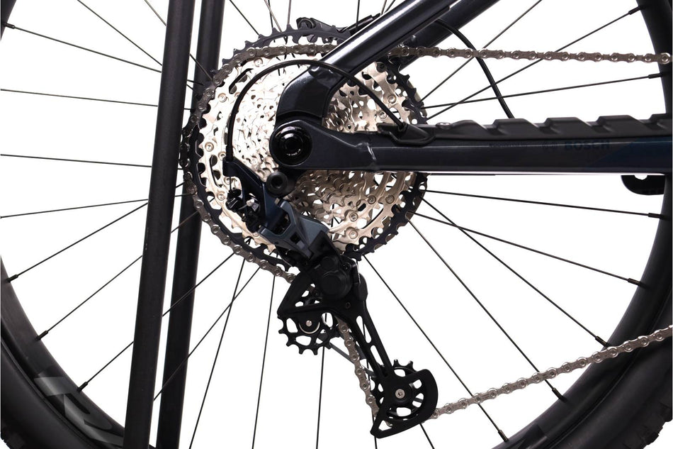 Orbea Wild H30