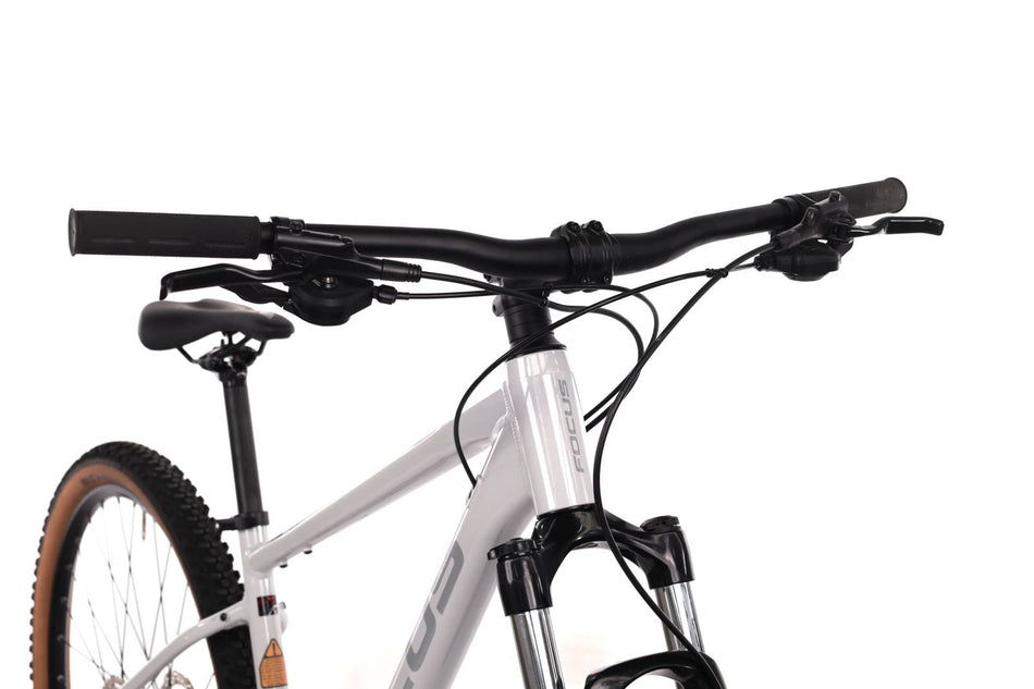 Focus Whistler 3.8