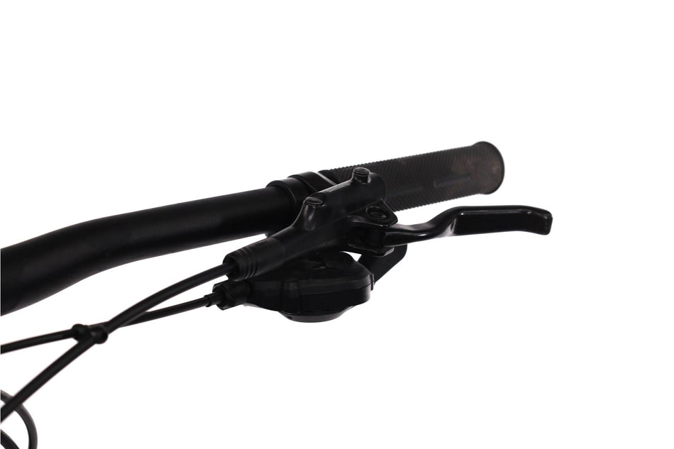 Focus Whistler 3.8