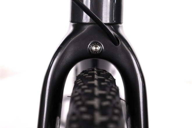 Cannondale Topstone Neo SL 2