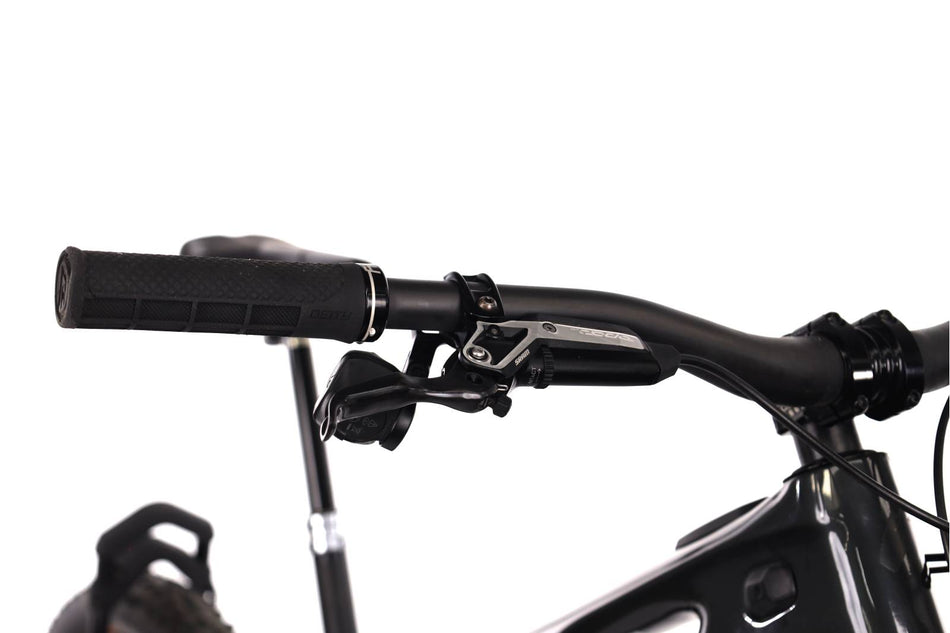 Specialized Turbo Levo S-WORK 3