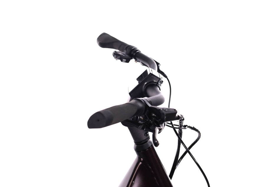 Giant Dailytour E+ 3