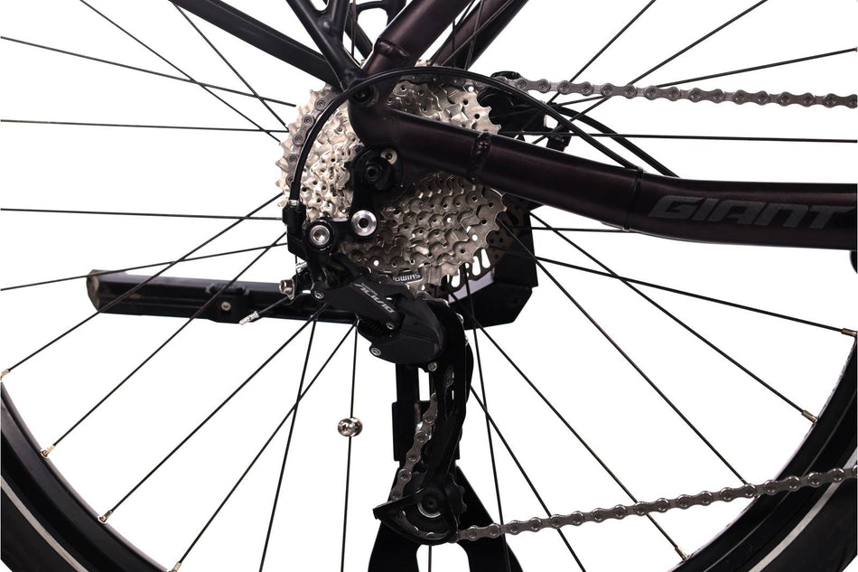 Giant Dailytour E+ 3