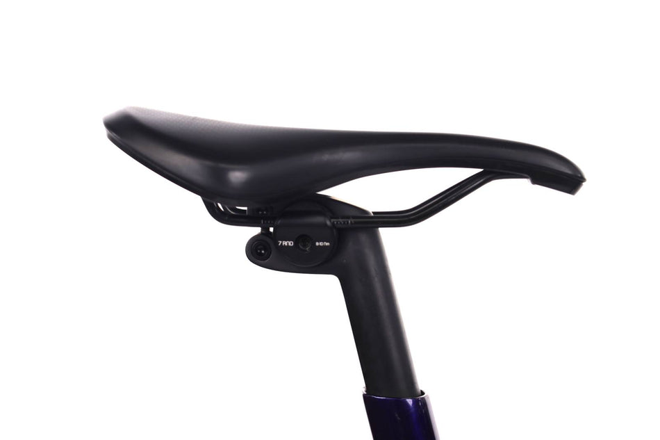 Trek Domane
