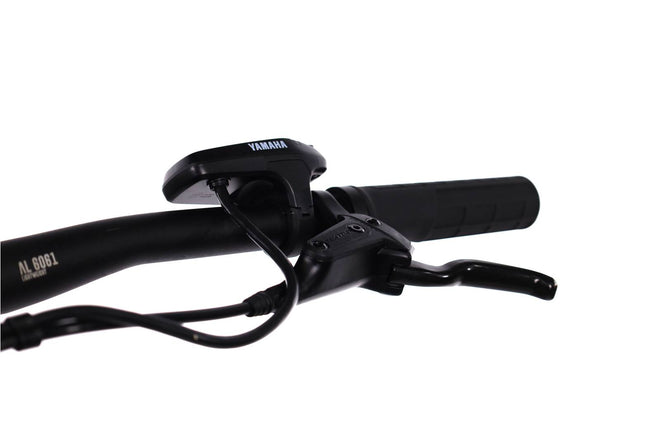 Raymon  HardRay  E 2.0 - VTT semi-rigide électrique