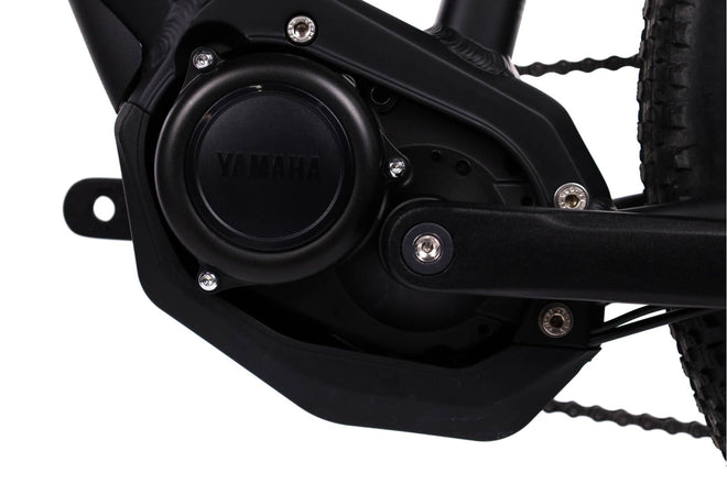 Raymon  HardRay  E 2.0 - VTT semi-rigide électrique